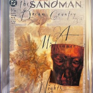 Sandman #19 9.8 CGC ERROR EDITION. KEY: Error edition: page 19 comes before page 18